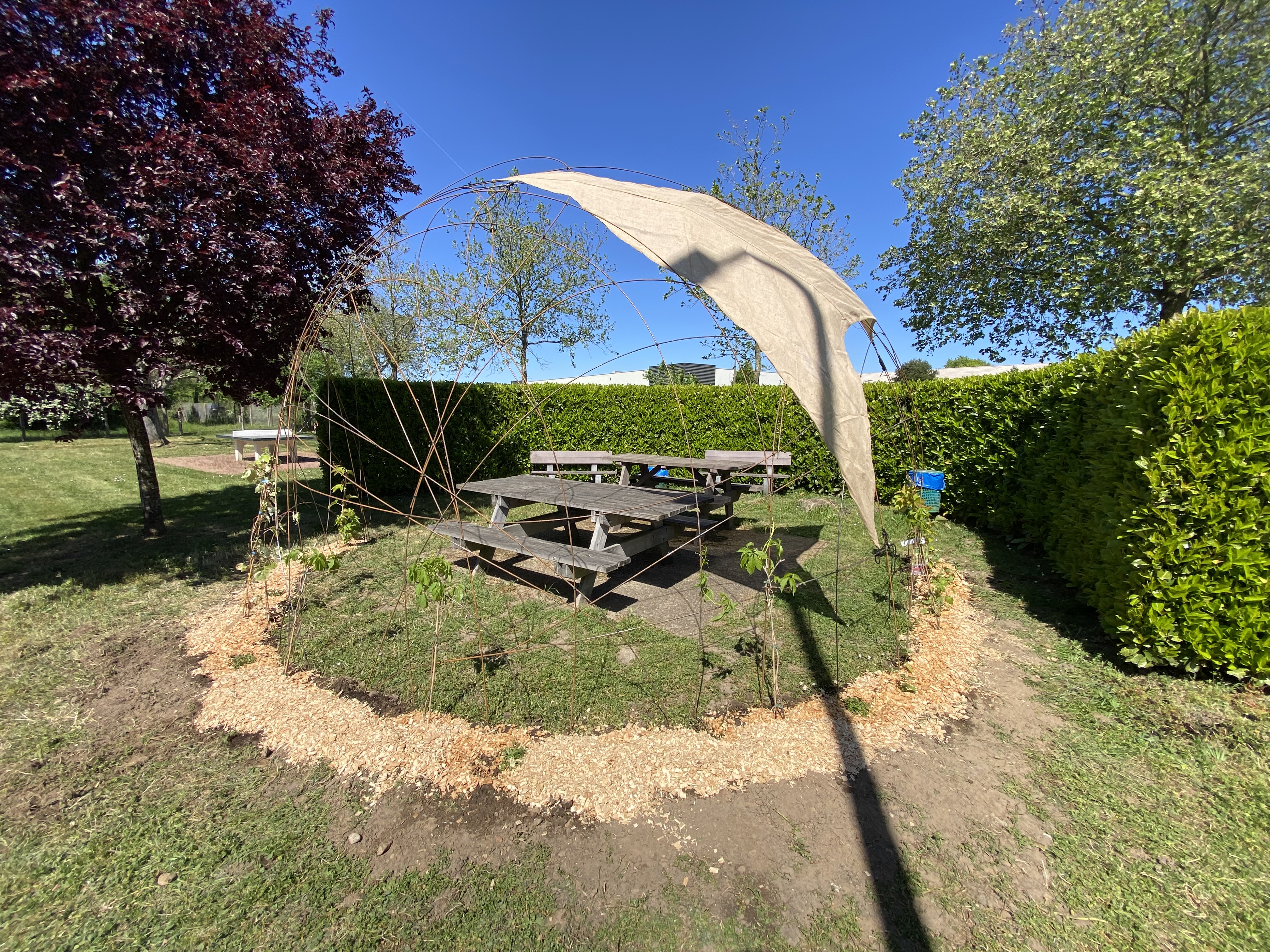 Trivium avril 2026 Cocoon 262